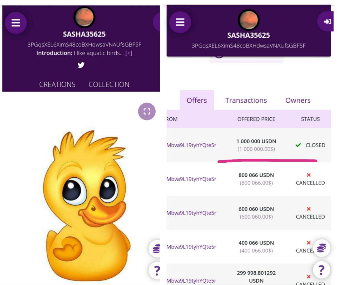 Основатель криптокомпании Waves Александр Иванов устал помогать госкорпорациям и решил торговать NFT-утками